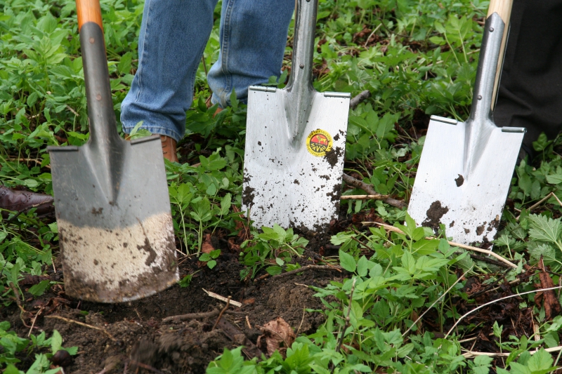 pepiniere-TOURRETTES-min_work-lawn-flower-tool-green-backyard-1103633-pxhere.com